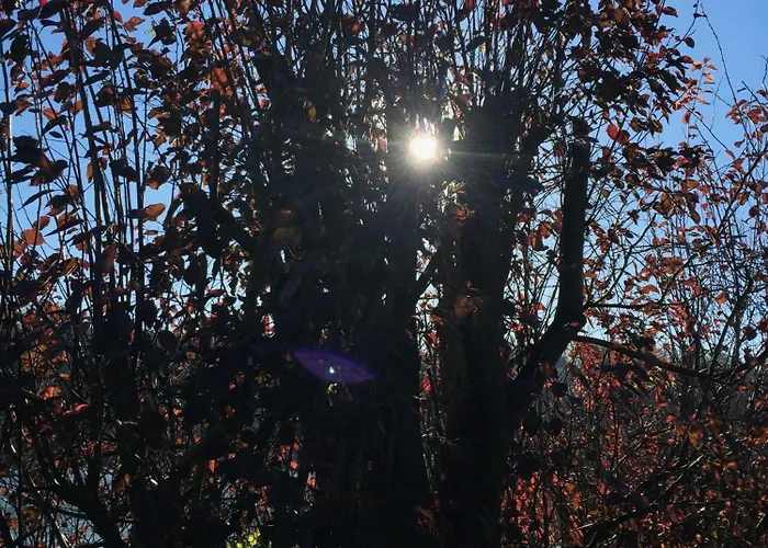 Rouen Est / Val De Reuil Hotel